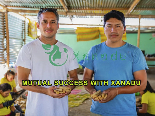 Peruvian Holy Woods Burner Bring in Luck Natural Spiritually Ritual Palo Santo Wood Wand Smudge Sticks