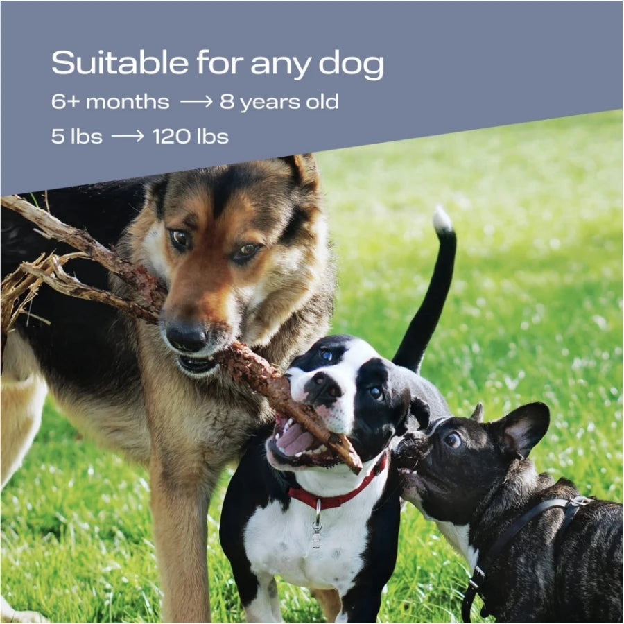 Handheld Ultrasonic Dog Trainer Repeller Pet Anti Barking Repeller Stop Bark Training Ultrasonic Control Device With LED Light