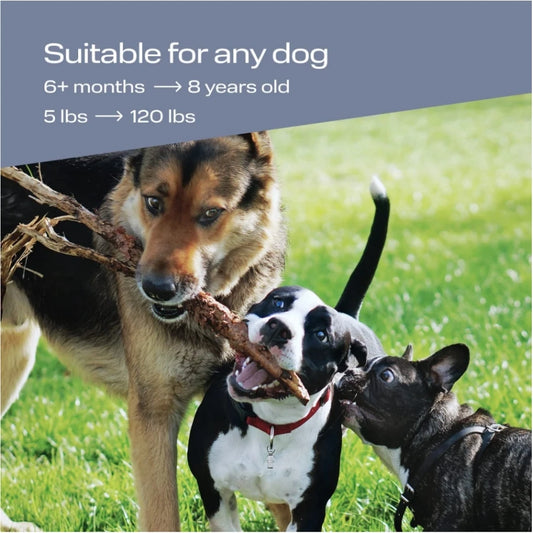 Handheld Ultrasonic Dog Trainer Repeller Pet Anti Barking Repeller Stop Bark Training Ultrasonic Control Device With LED Light