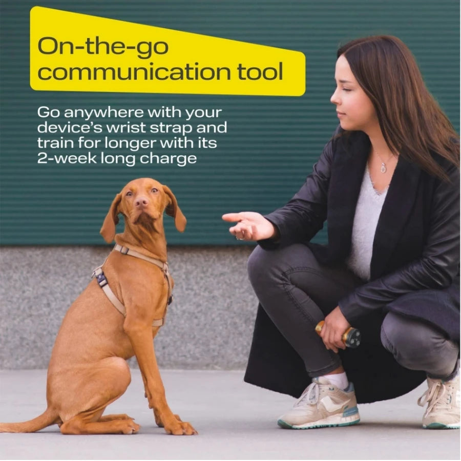 Handheld Ultrasonic Dog Trainer Repeller Pet Anti Barking Repeller Stop Bark Training Ultrasonic Control Device With LED Light