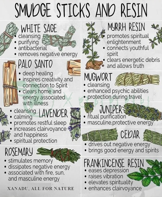 Xanadu 4 Inch 11g Aromatic Unique Handmade Drumstick Shape California White Sage Organic Burning Incense Bundles