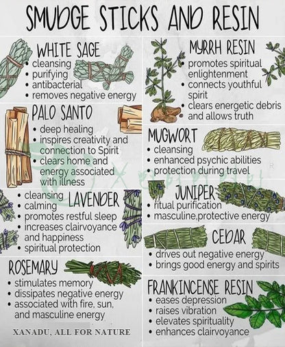 Xanadu 4 Inch 11g Aromatic Unique Handmade Drumstick Shape California White Sage Organic Burning Incense Bundles