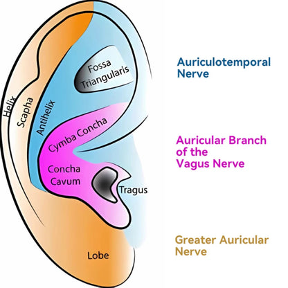 Portable Vagus Nerve TVNS Ear Clip Machine 3 Modes Rechargeable Pocket Stress Relief Tool for Daily Relaxation & Mood Management